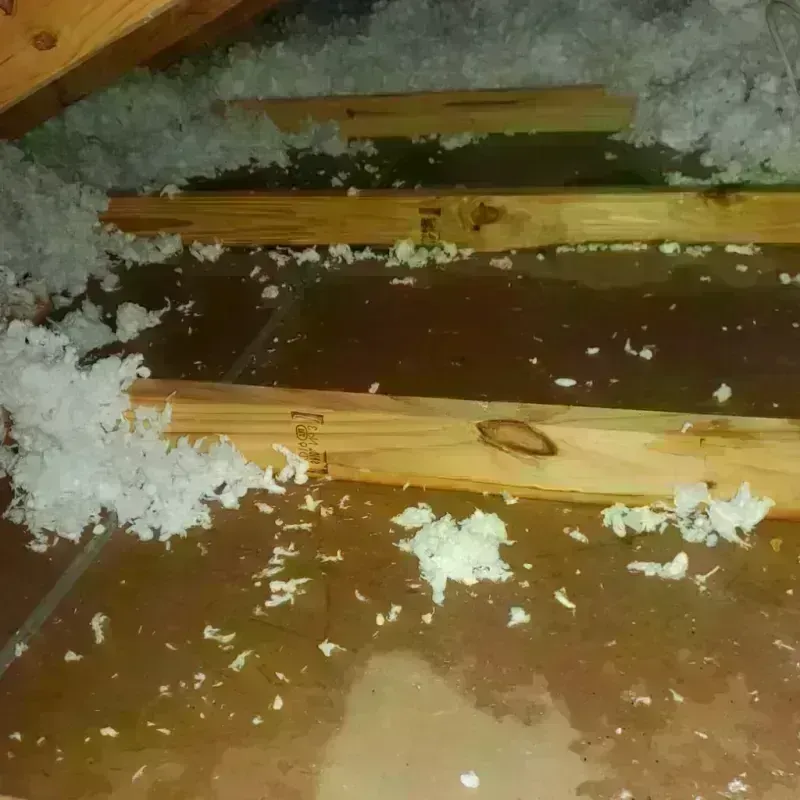 Attic Water Damage in El Paso, IL