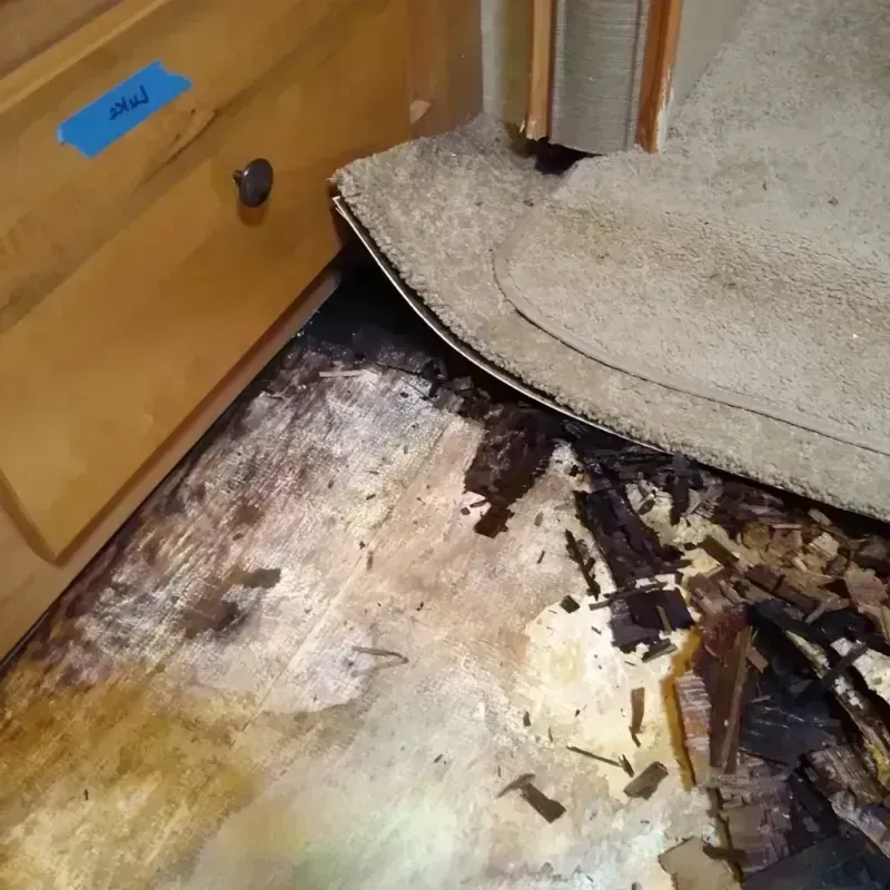 Wood Floor Water Damage in El Paso, IL